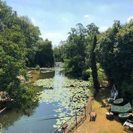 Magnifique Moulin Proche Chablis, Jacuzzi Et Riviere Villa Annay-sur-Serein Exterior photo