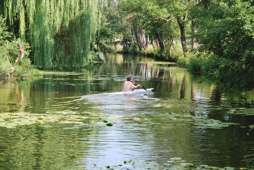 Magnifique Moulin Proche Chablis, Jacuzzi Et Riviere Villa Annay-sur-Serein Exterior photo