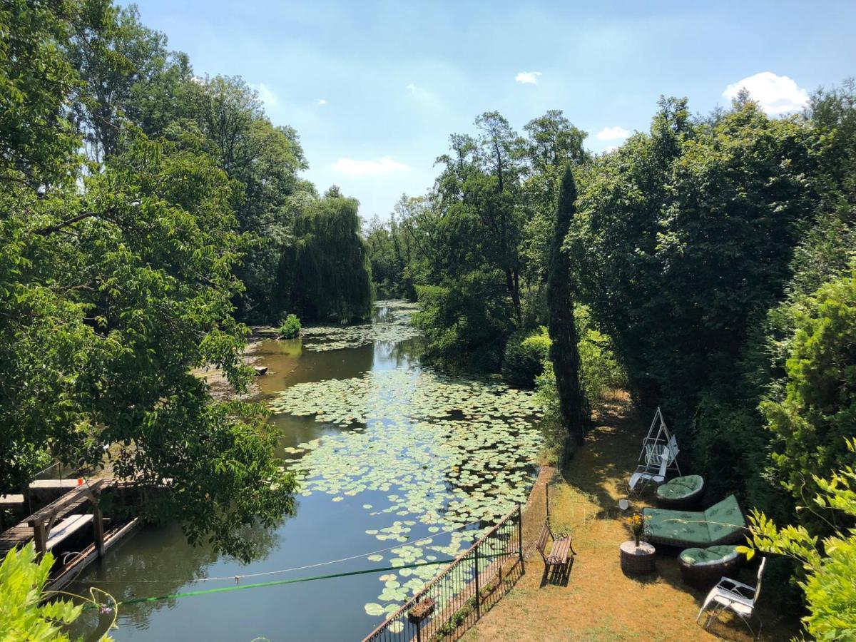 Magnifique Moulin Proche Chablis, Jacuzzi Et Riviere Villa Annay-sur-Serein Exterior photo
