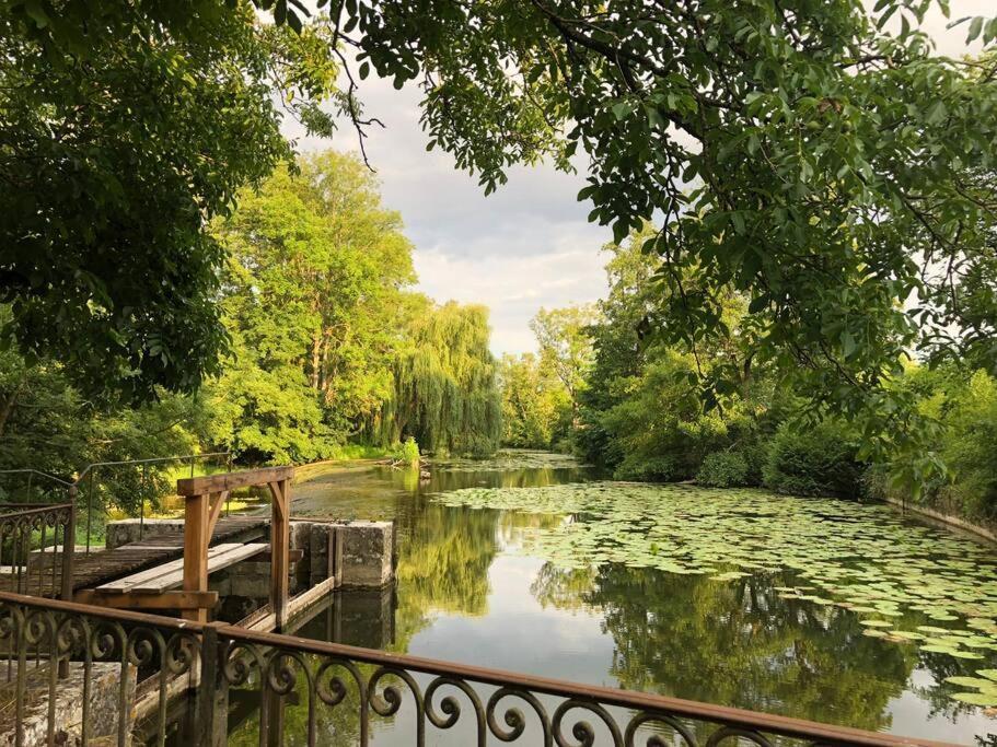 Magnifique Moulin Proche Chablis, Jacuzzi Et Riviere Villa Annay-sur-Serein Exterior photo